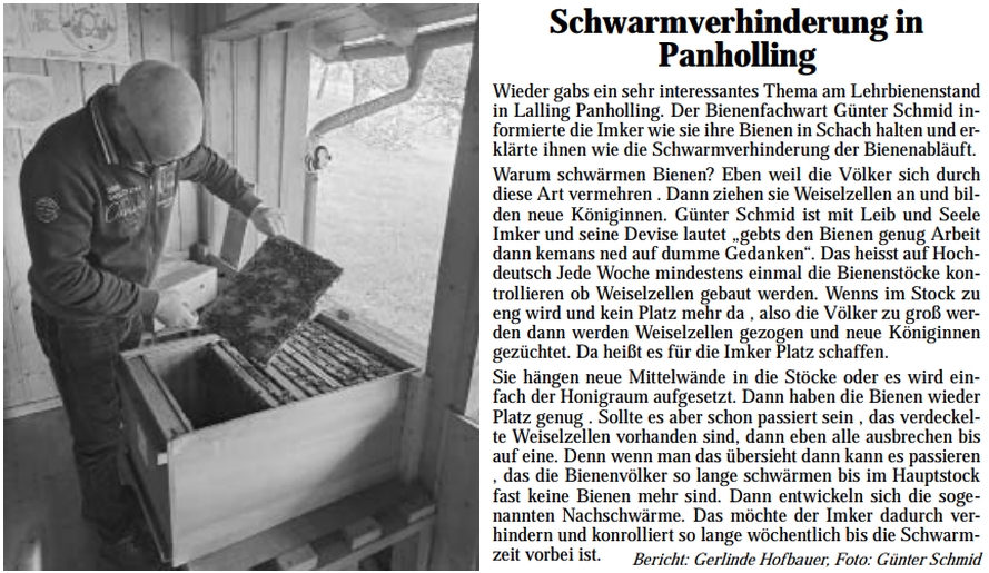 Bienen-Schulung Gnter Schmid Schwarmverhinderung